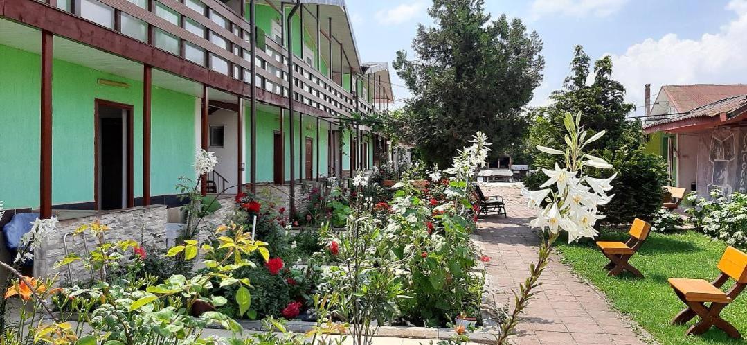 Casa Bucuria Hotel Costinești Kültér fotó